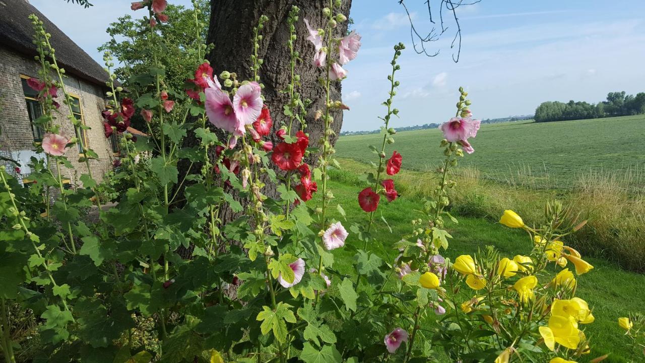 B&B Rechthuis Van Zouteveen Schipluiden Exterior foto